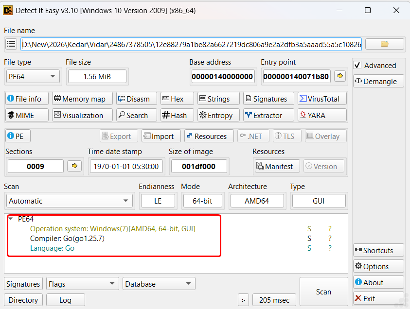 Technical File Information showing Go compiler specifics.