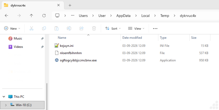 Dropped files to temp folder (Source : PointWild).